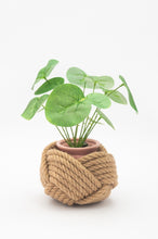 Load image into Gallery viewer, Unbound Planter Jute
