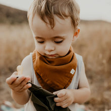 Load image into Gallery viewer, Organic Scarf Bib 3-Pack (Sage, Charcoal, Caramel)
